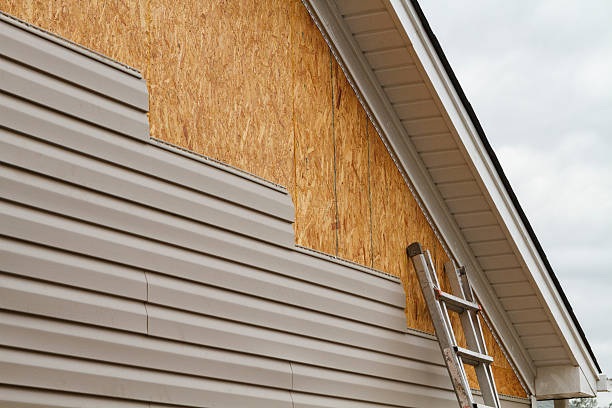 Professional Siding Repair technician working in Leesville, OH